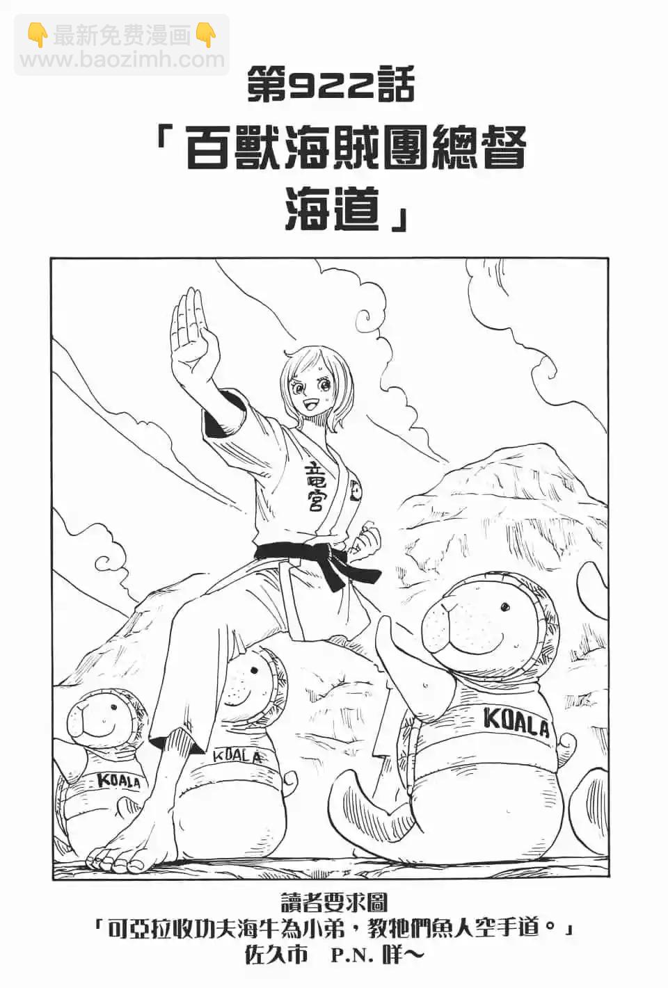 🍖ONE PIECE航海王 第92卷 第10页