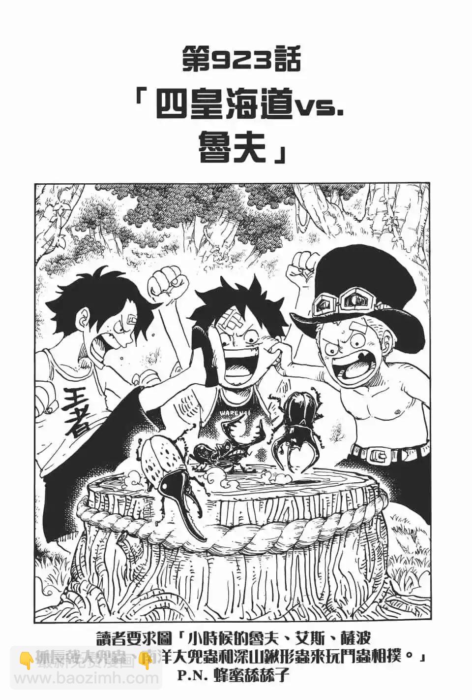 🍖ONE PIECE航海王 第92卷 第28页