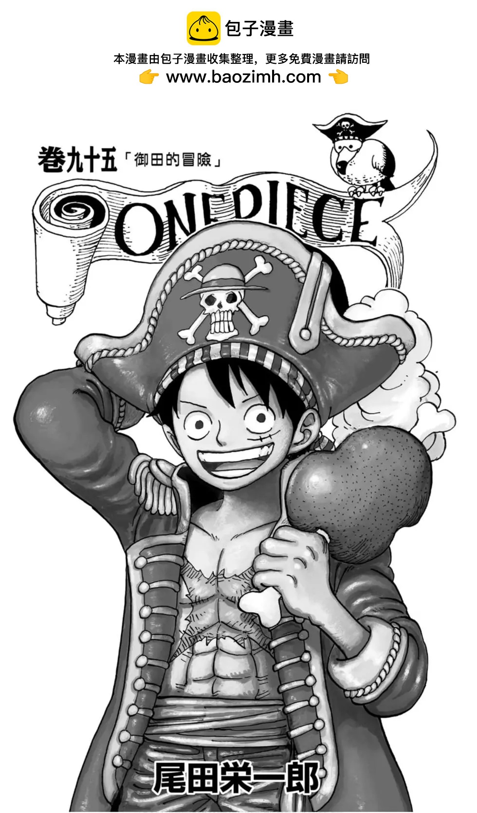 🍖ONE PIECE航海王 第95卷 第2页