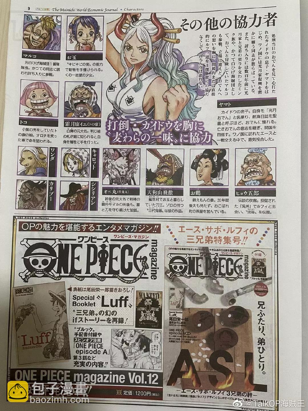 🍖ONE PIECE航海王 每日新聞100卷紀念刊 第10页