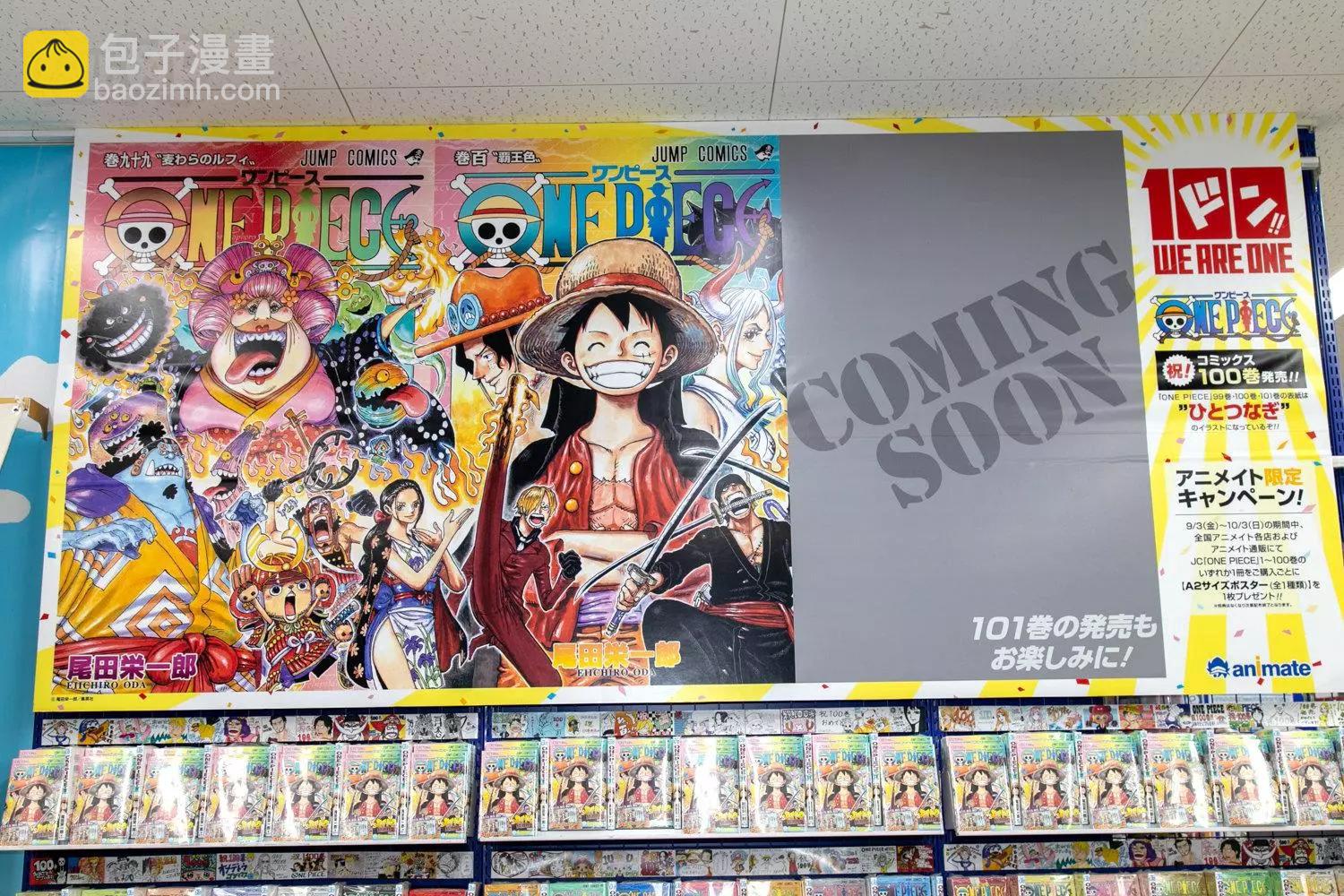🍖ONE PIECE航海王 每日新聞100卷紀念刊 第28页