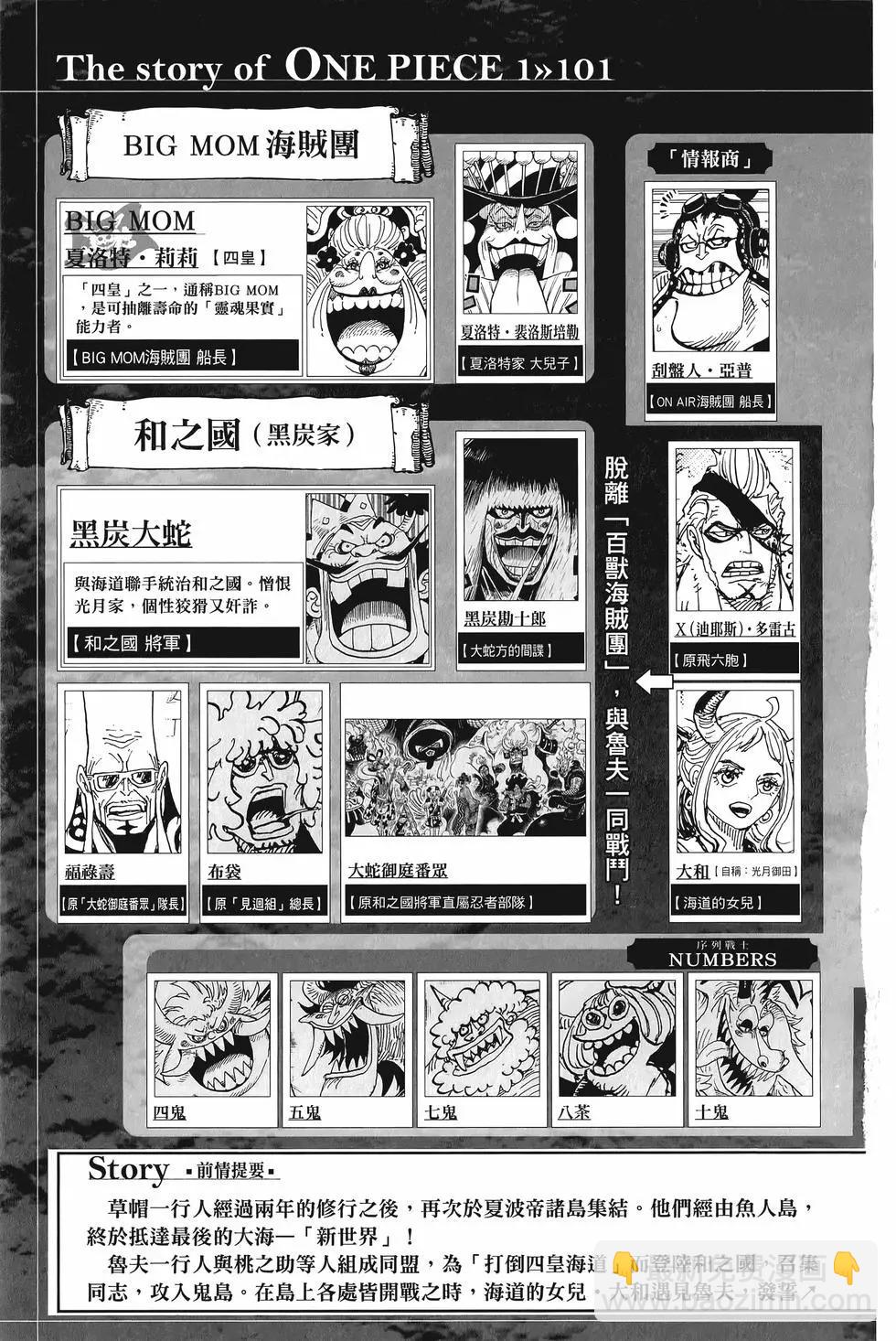 🍖ONE PIECE航海王 第101卷 第8页