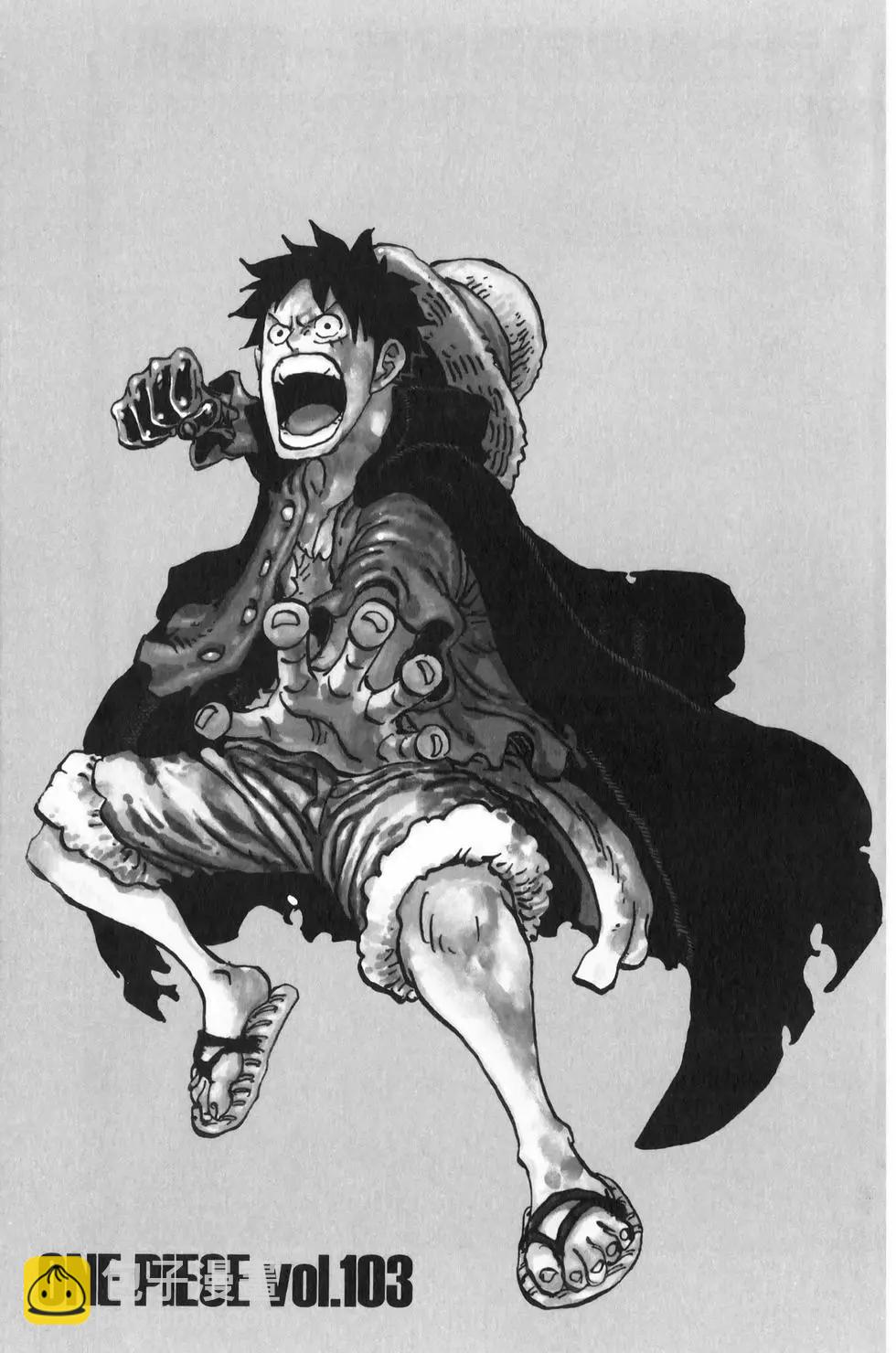🍖ONE PIECE航海王 第103卷 第10页