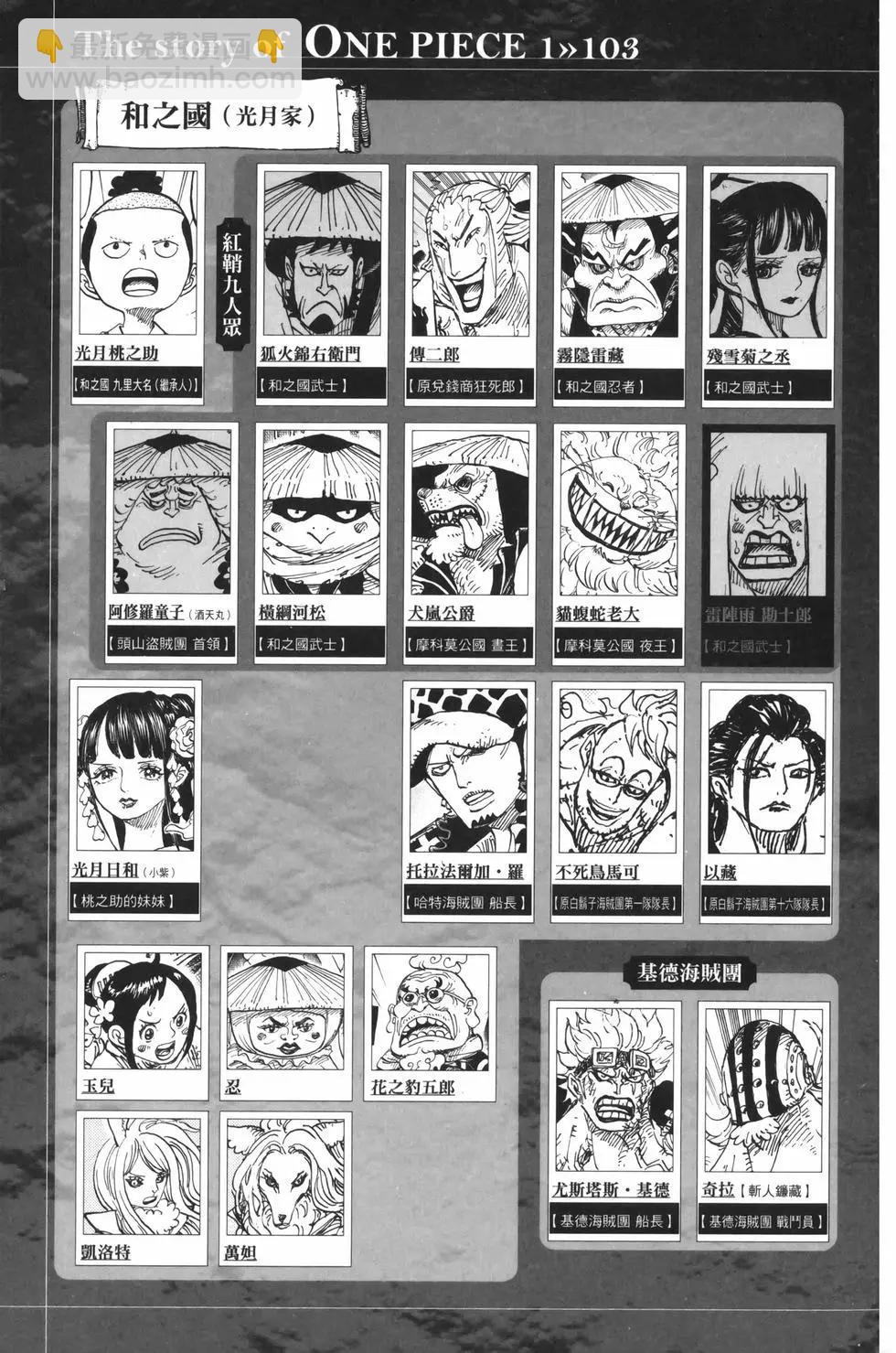 🍖ONE PIECE航海王 第103卷 第6页
