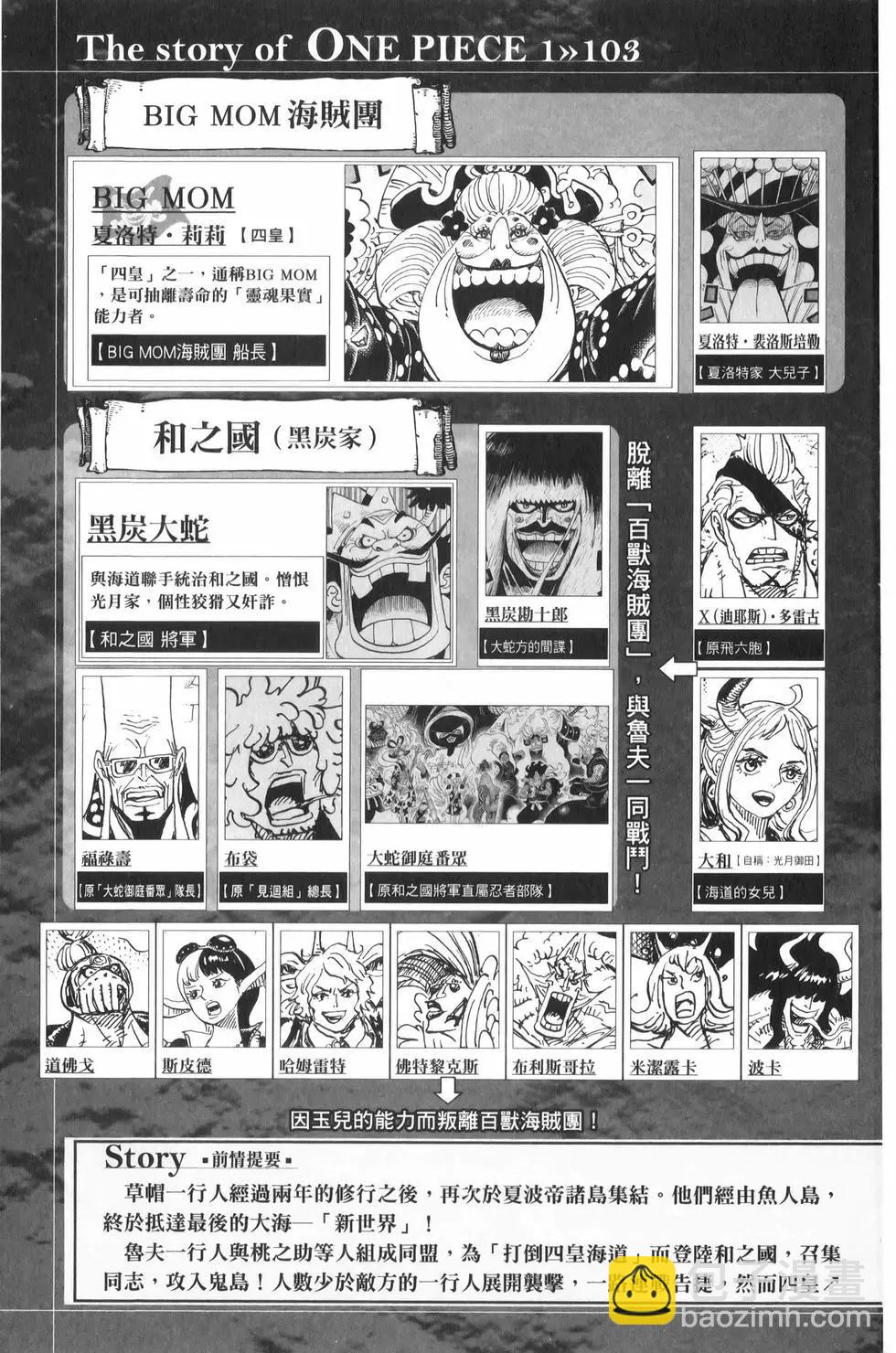🍖ONE PIECE航海王 第103卷 第8页