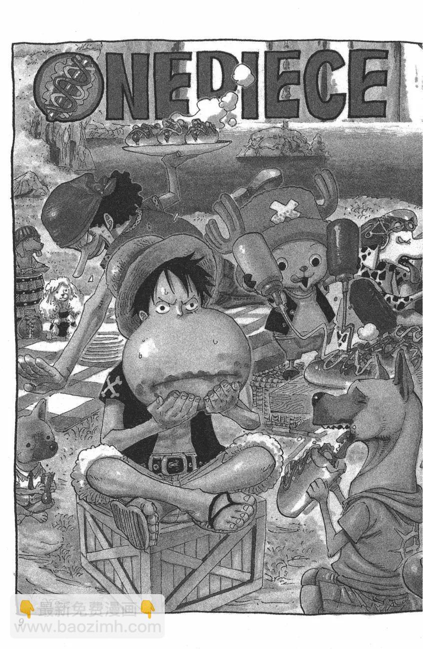 🍖ONE PIECE航海王 第43卷 第9页