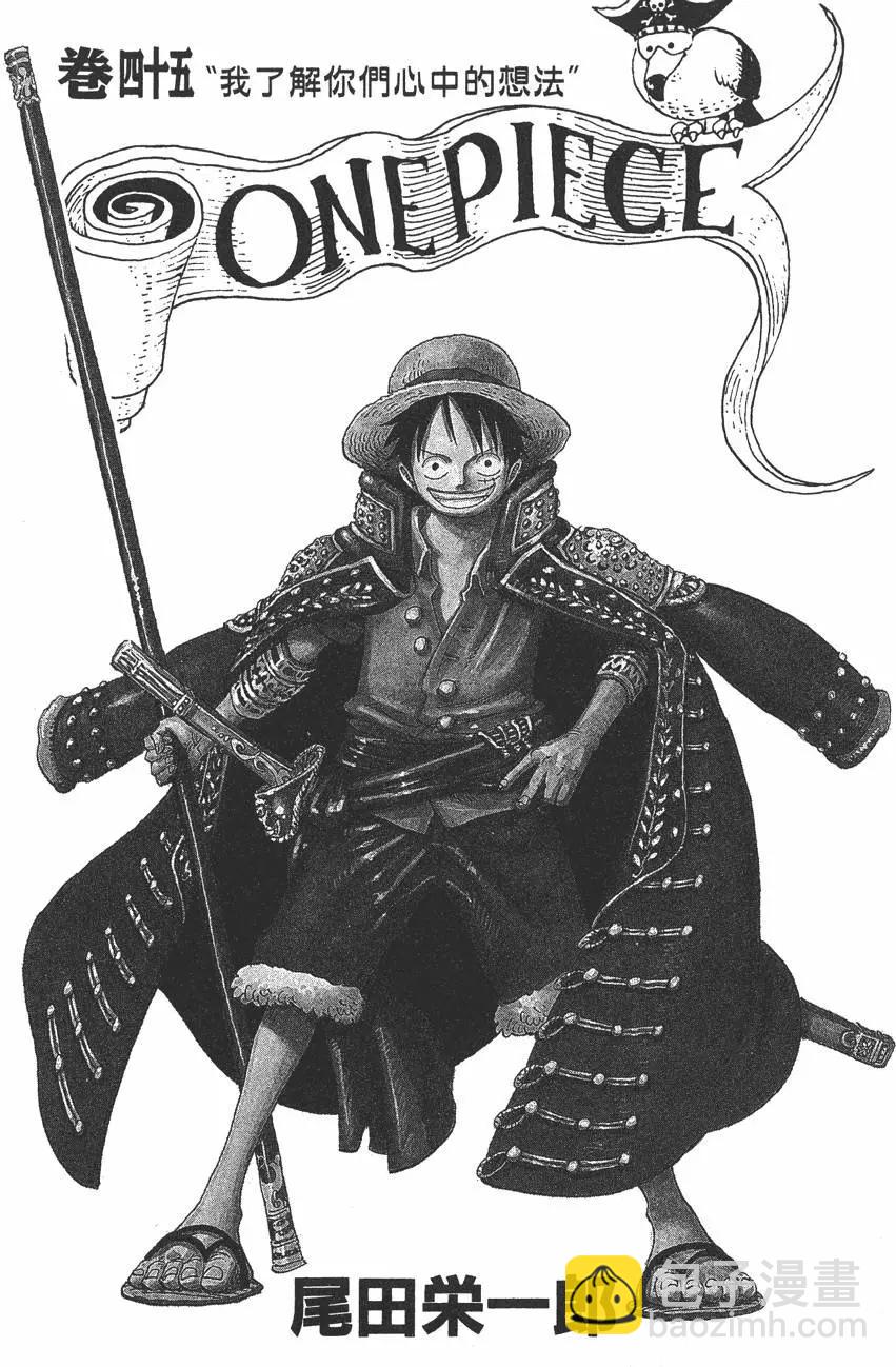 🍖ONE PIECE航海王 第45卷 第3页