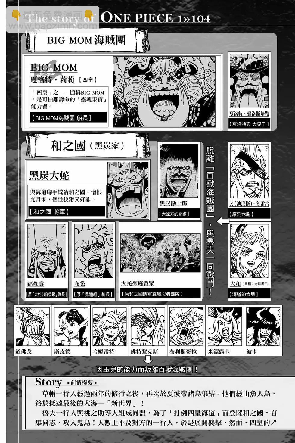 🍖ONE PIECE航海王 第104卷 第6页
