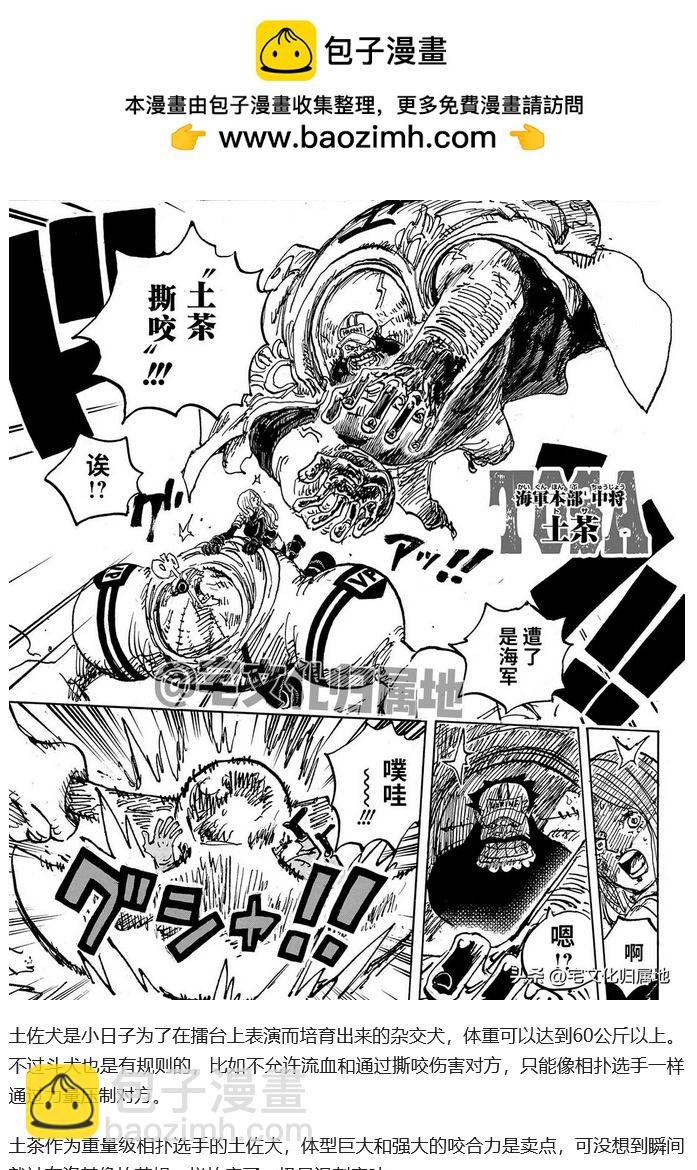 🍖ONE PIECE航海王 第1108话 第16页