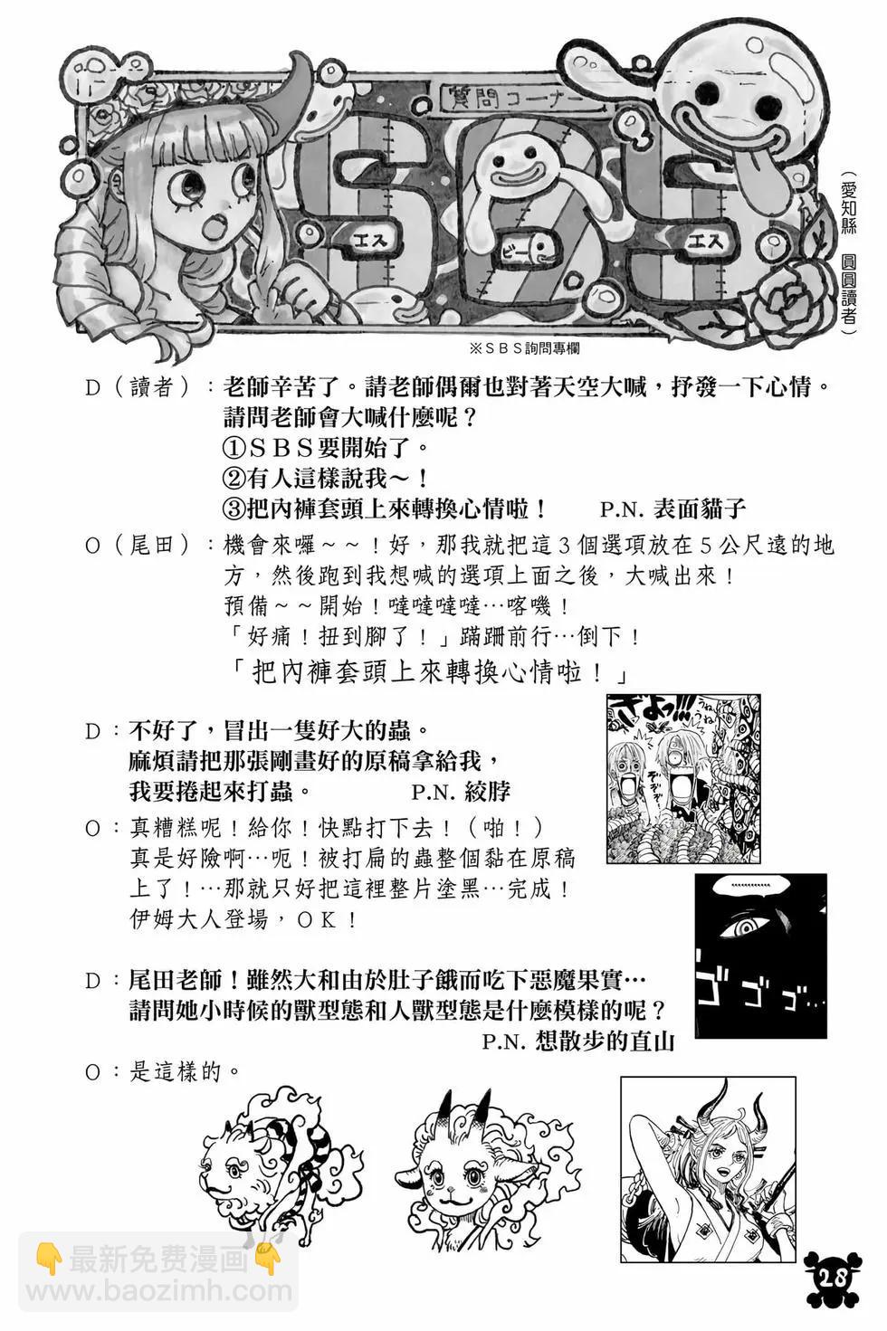 🍖ONE PIECE航海王 第110卷 第29页