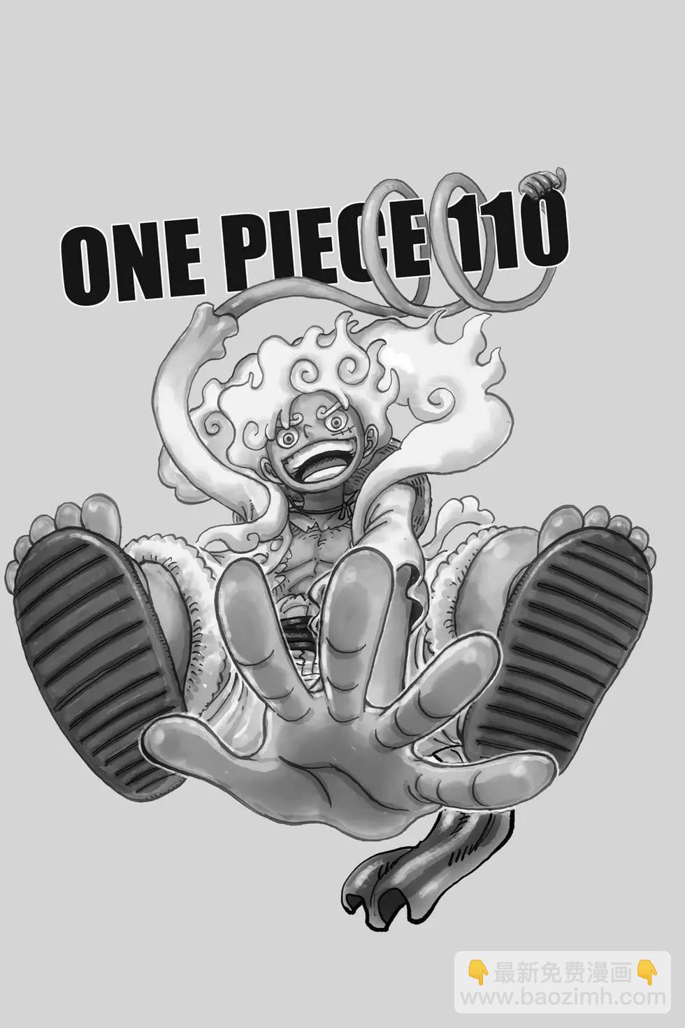 🍖ONE PIECE航海王 第110卷 第8页