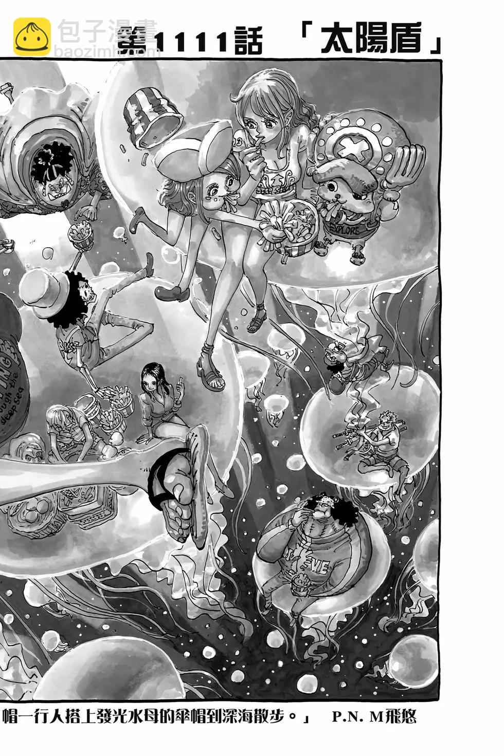 🍖ONE PIECE航海王 第110卷 第9页