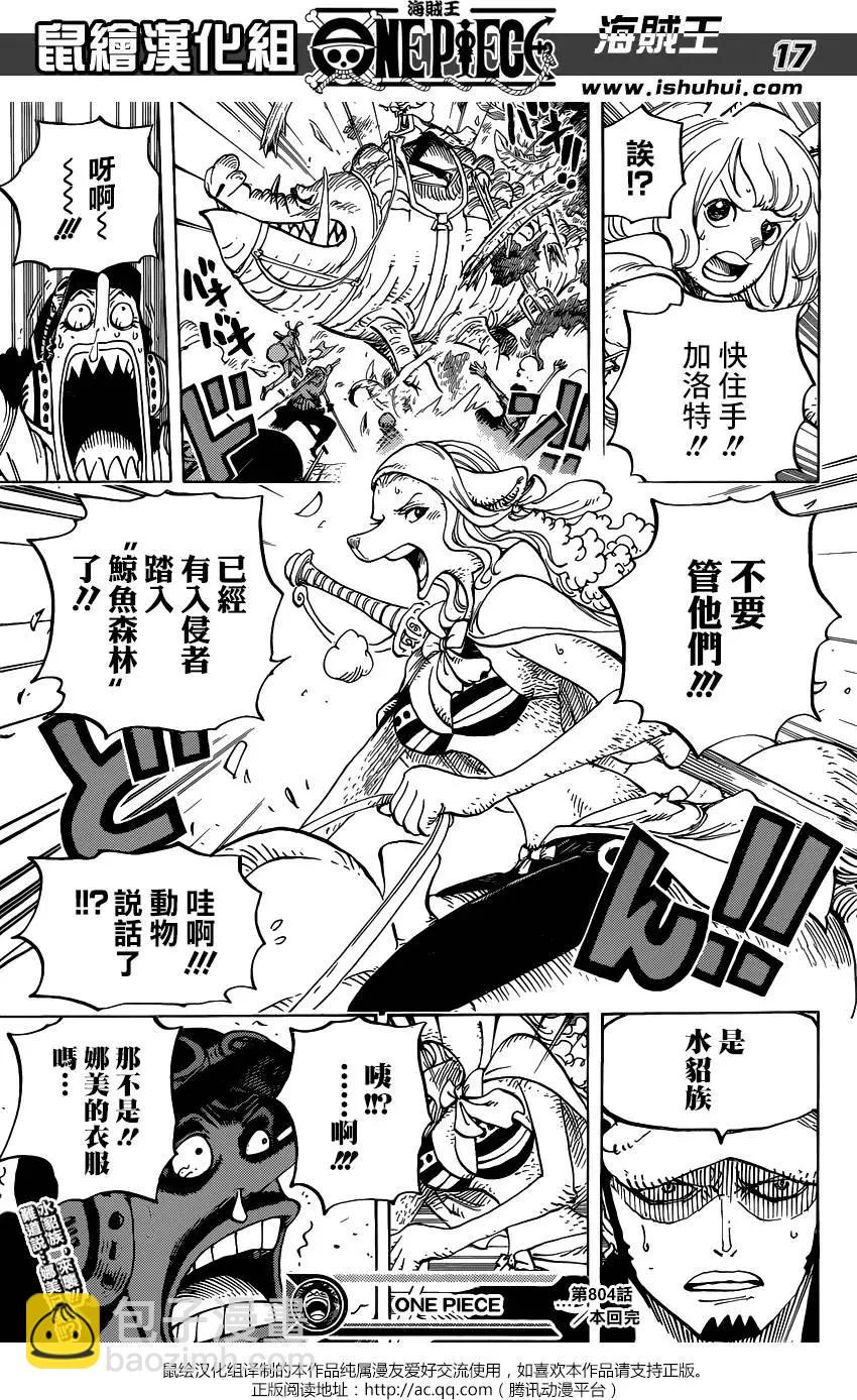 🍖ONE PIECE航海王 第804回 象背之国的冒险 第17页