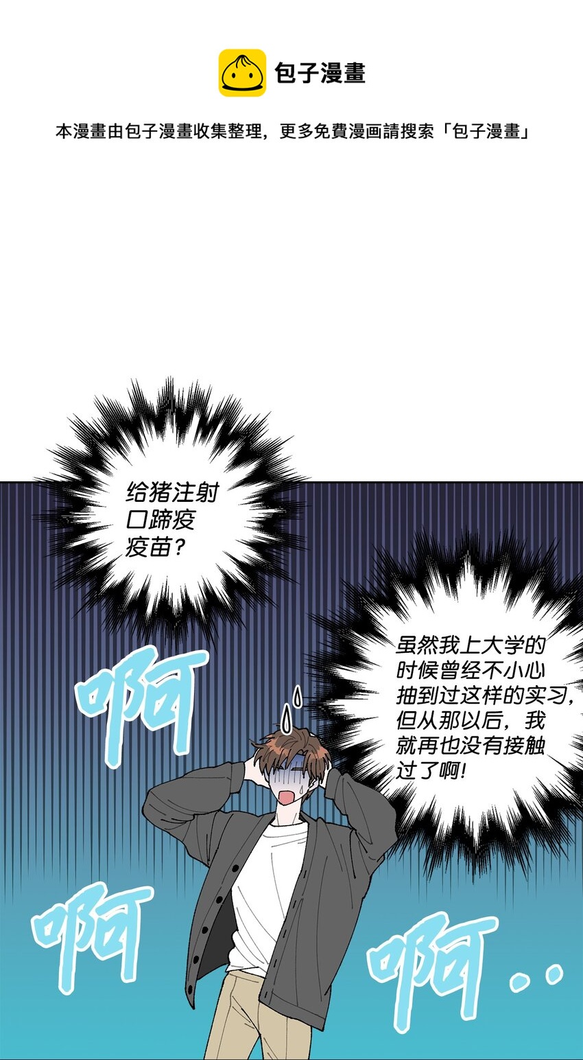 05 怎么给猪打疫苗啊？(1/2)-第5话