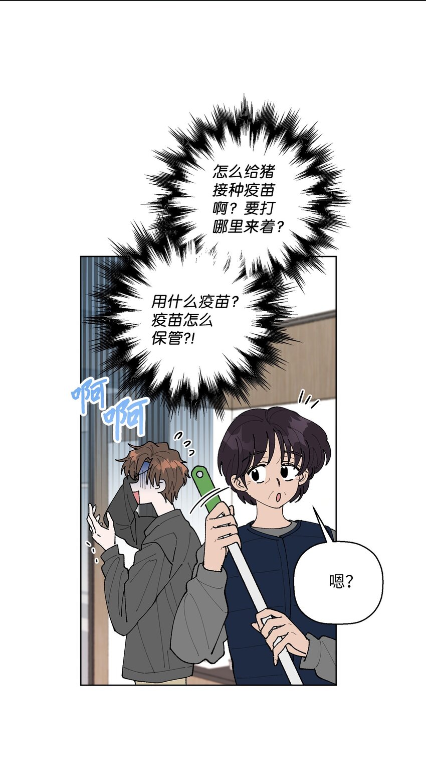 05 怎么给猪打疫苗啊？(1/2)-第5话
