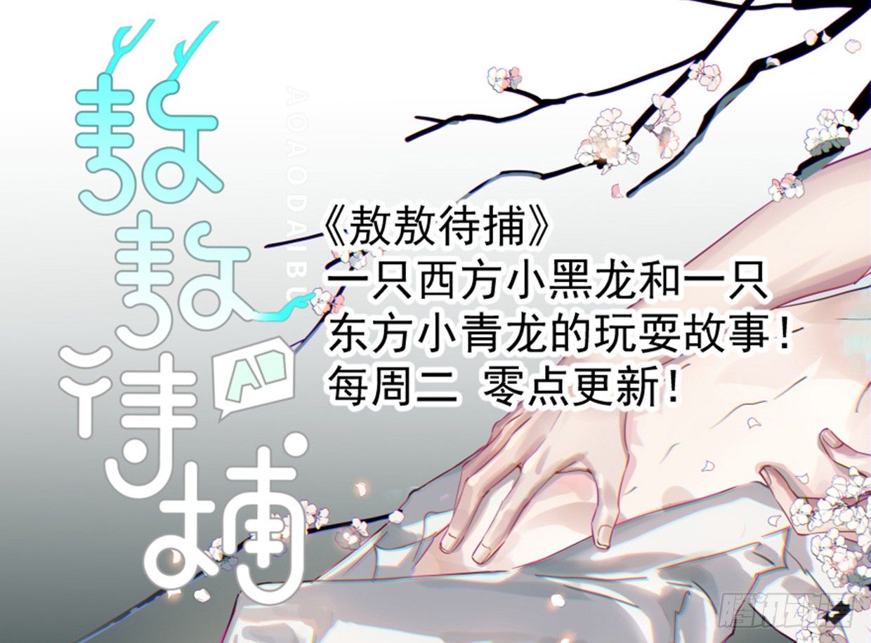 实事求是，绝不道歉-第11话