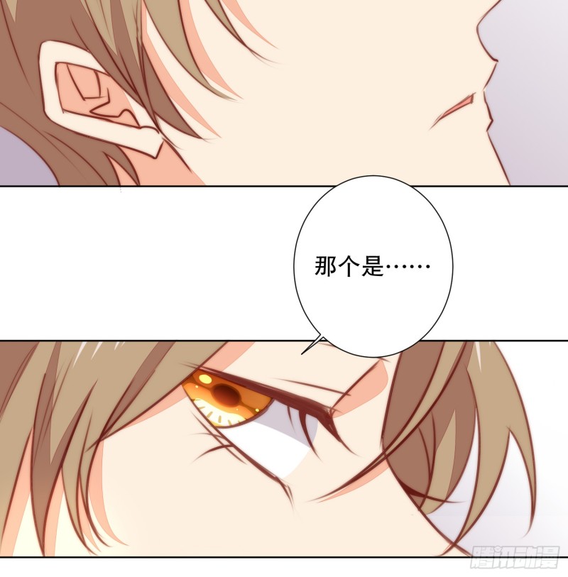 APP的真相-第137话