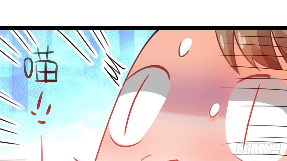 新的指示(1/4)-第37话