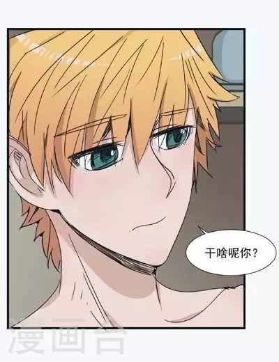 第47话 不一样的维特-第47话
