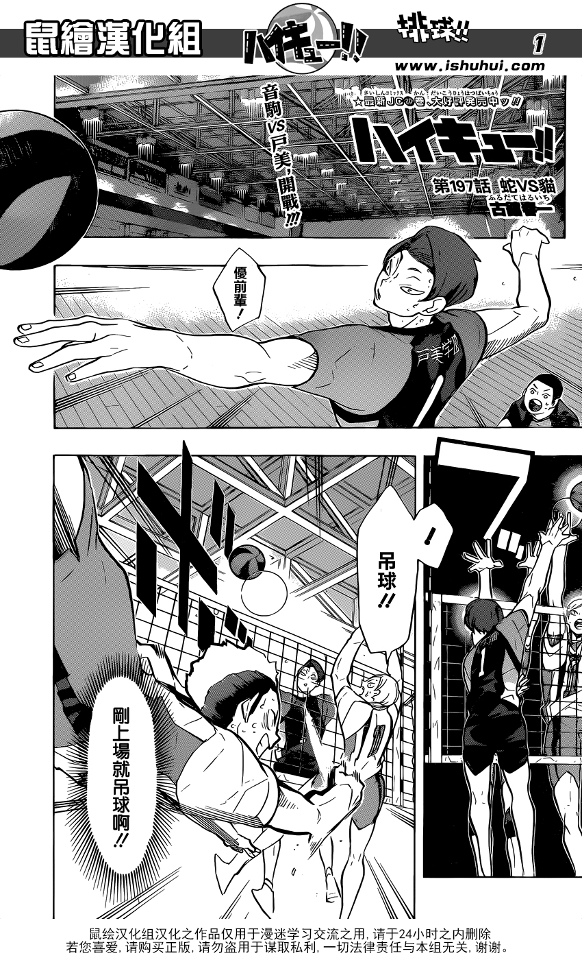 🍝排球 第197话 蛇vs猫 第1页