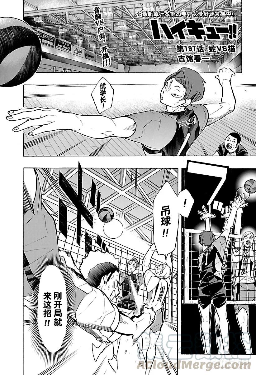 🍝排球少年！！ 第197话 蛇VS猫 第1页
