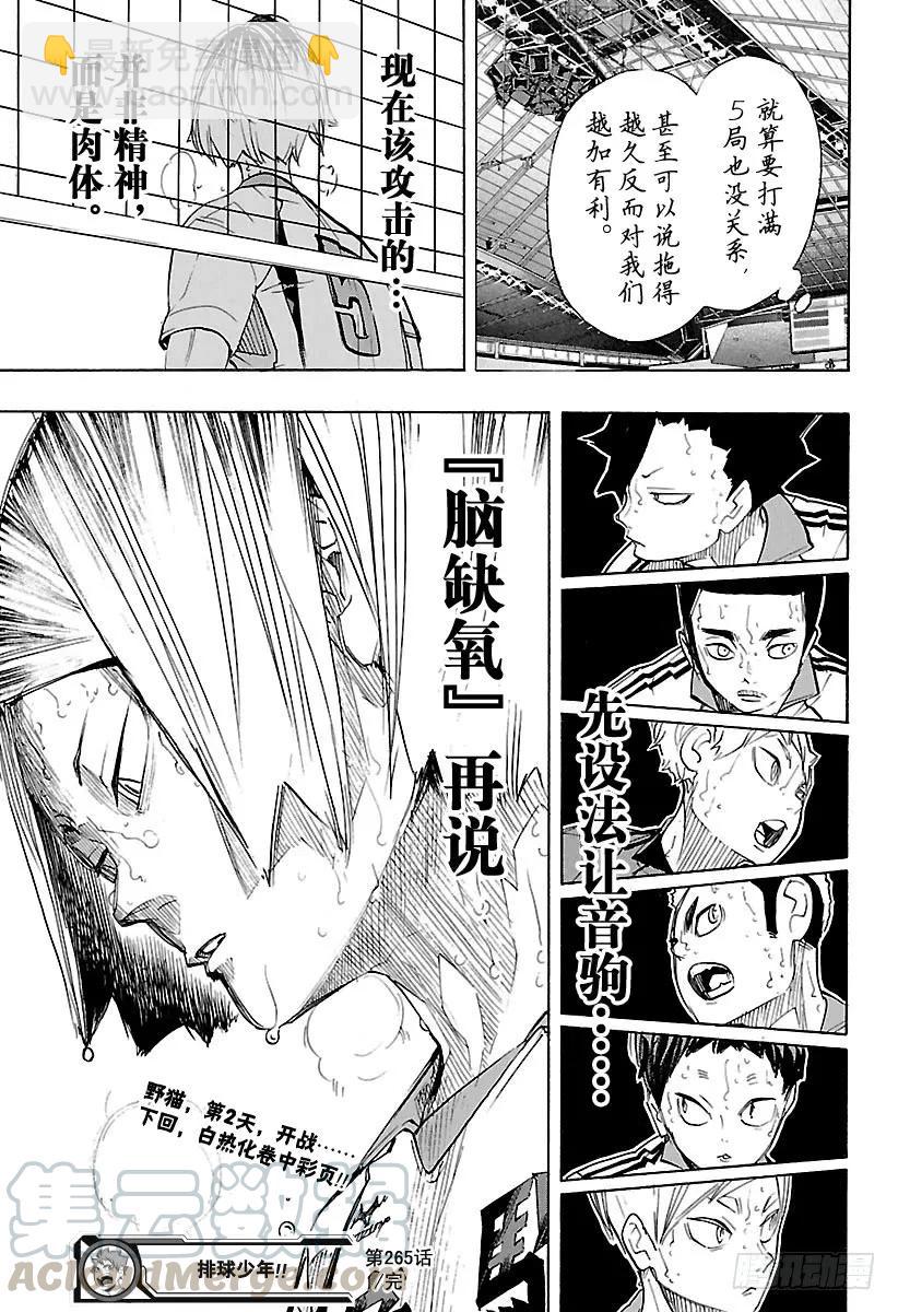 🍝排球少年！！ 第265话 与此同时那只没精神的 第19页