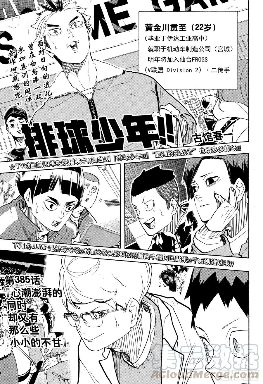 🍝排球少年！！ 第385 心潮澎湃的同时却又有那 第1页