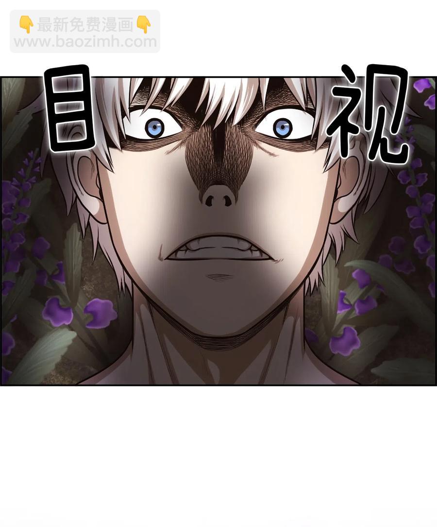 31 31-第31话