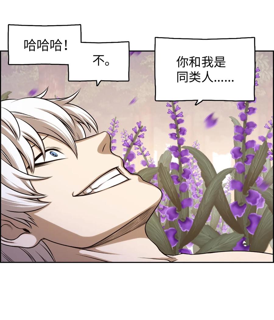 31 31-第31话
