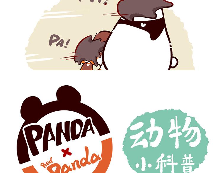 第10话-第11话