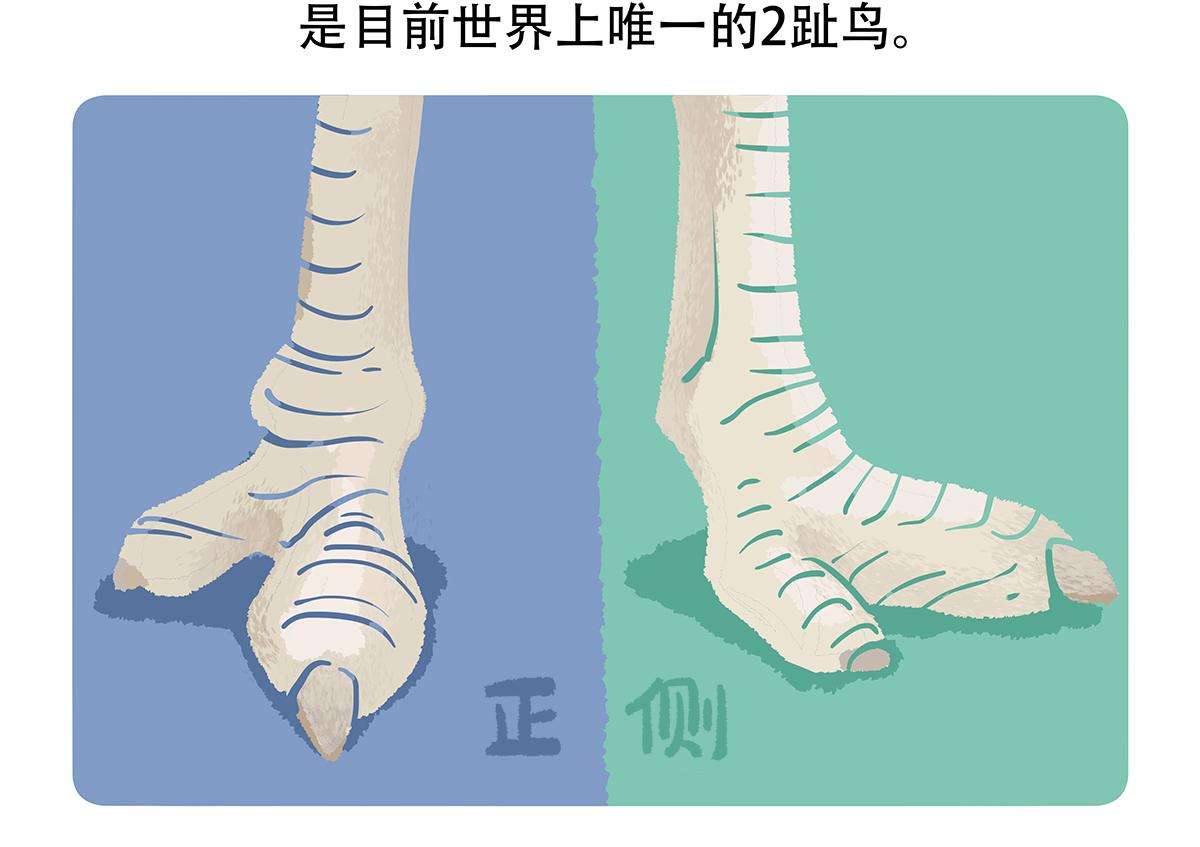 第102话-第103话