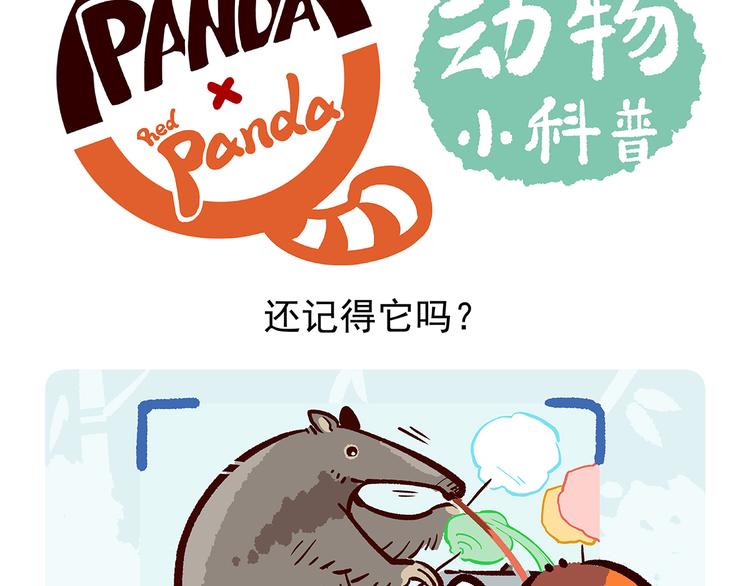 第12话-第13话