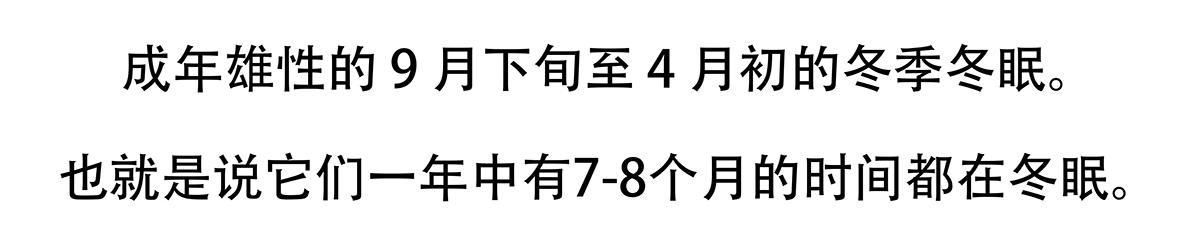 第128话-第129话