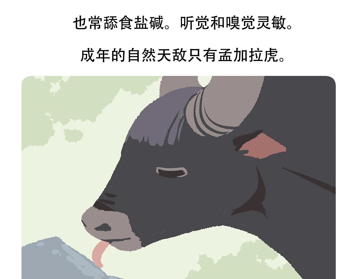 第156话-第157话