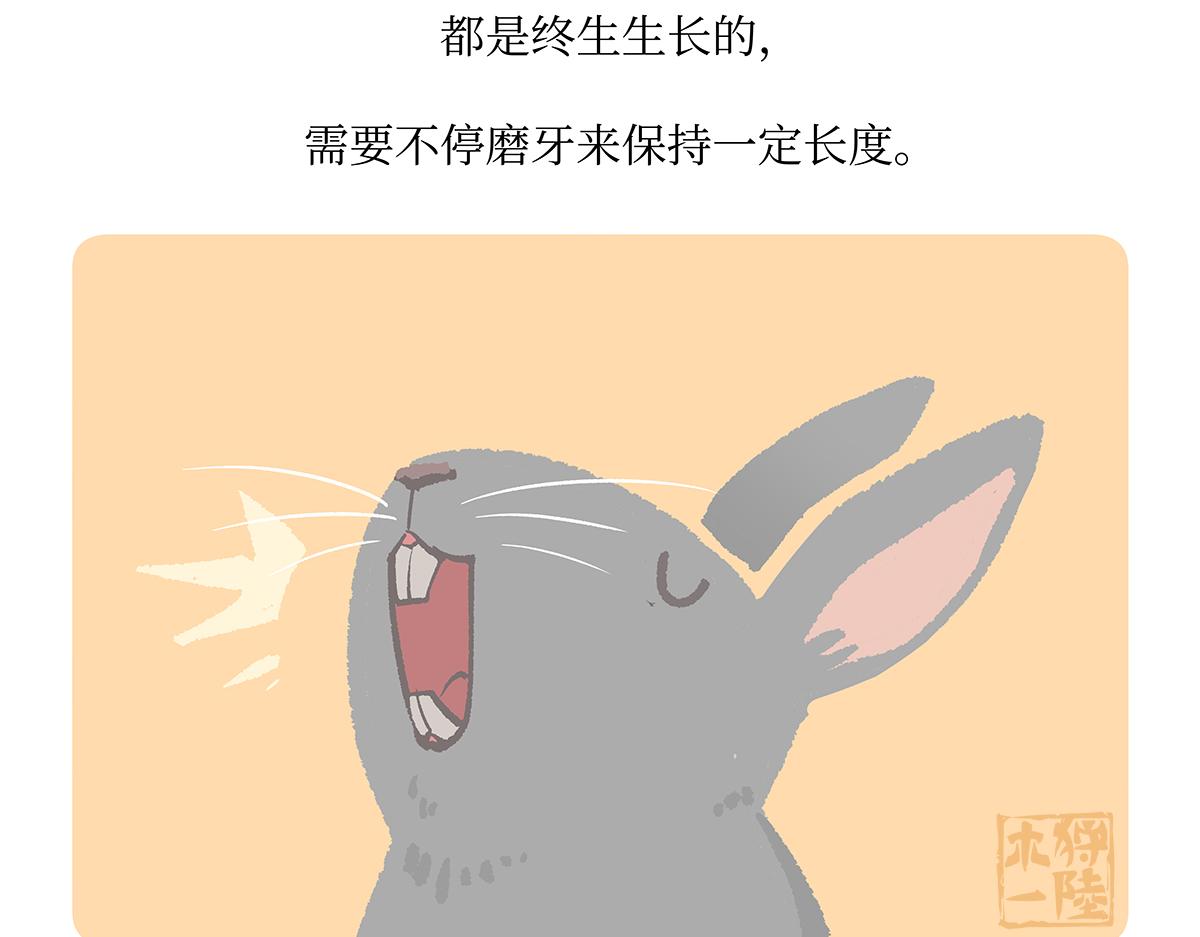 第160话-第161话
