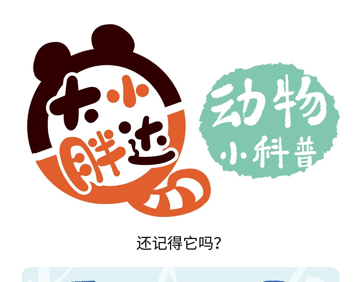 第168话-第169话