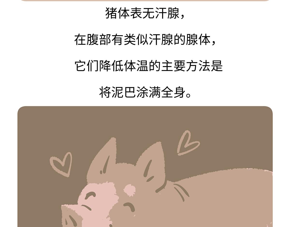 第176话-第177话