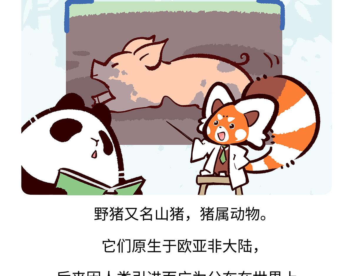 第178话-第179话