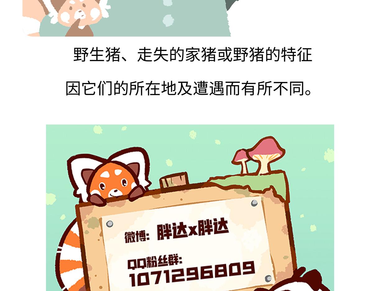 第178话-第179话