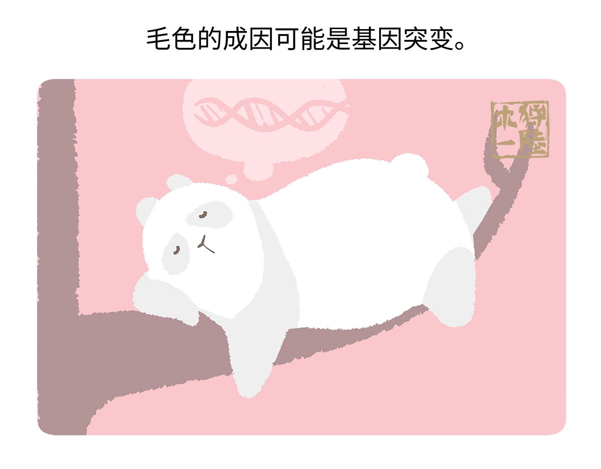 第188话-第189话