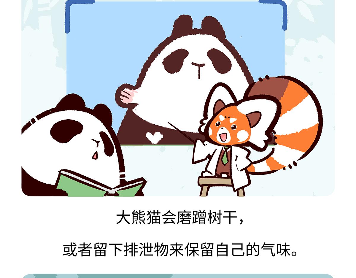 第190话-第191话