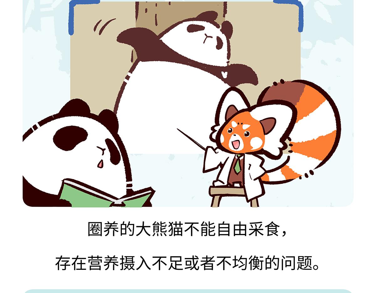 第192话-第193话