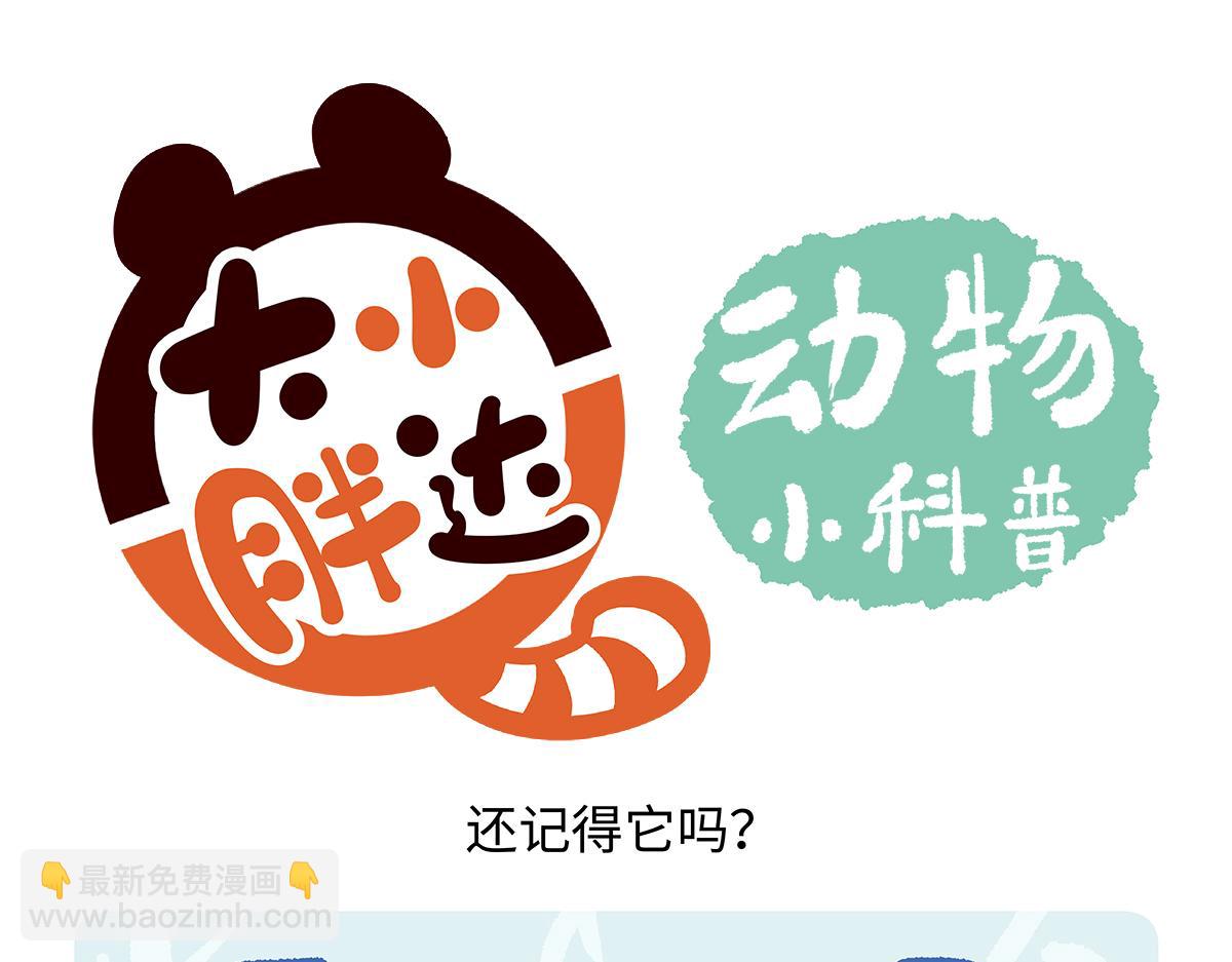 第194话-第195话