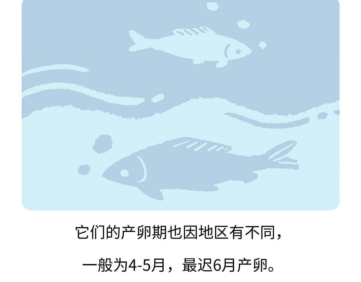 第194话-第195话