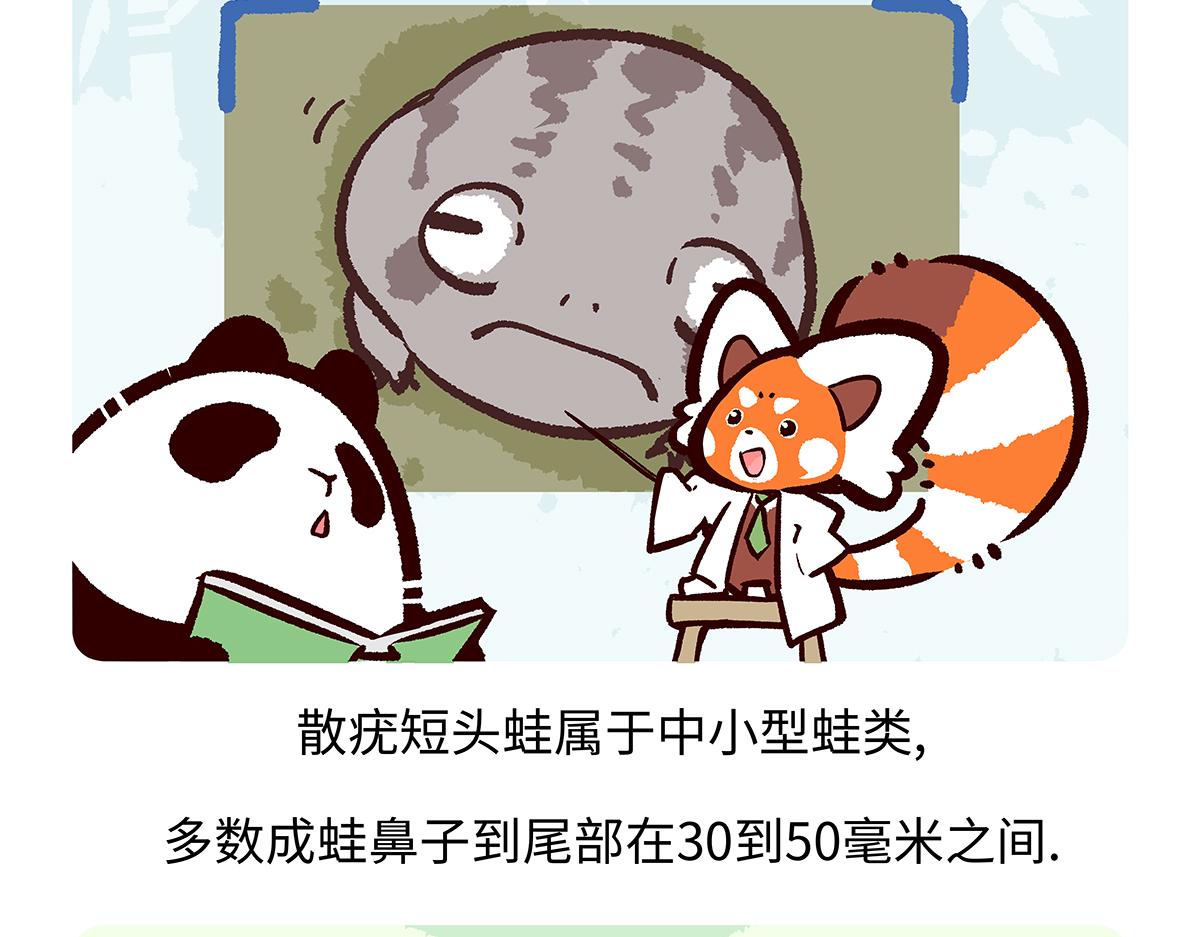 第196话-第197话