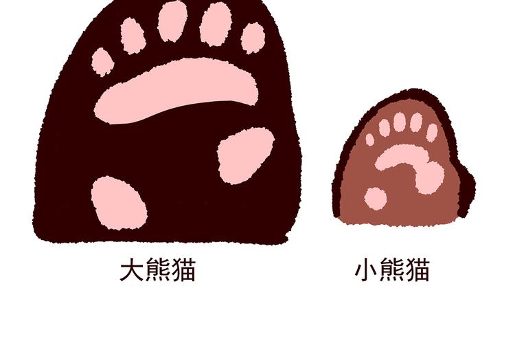 第2话-第3话
