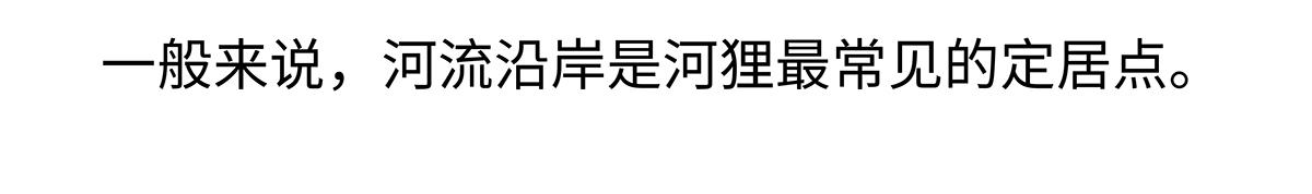 第200话-第201话