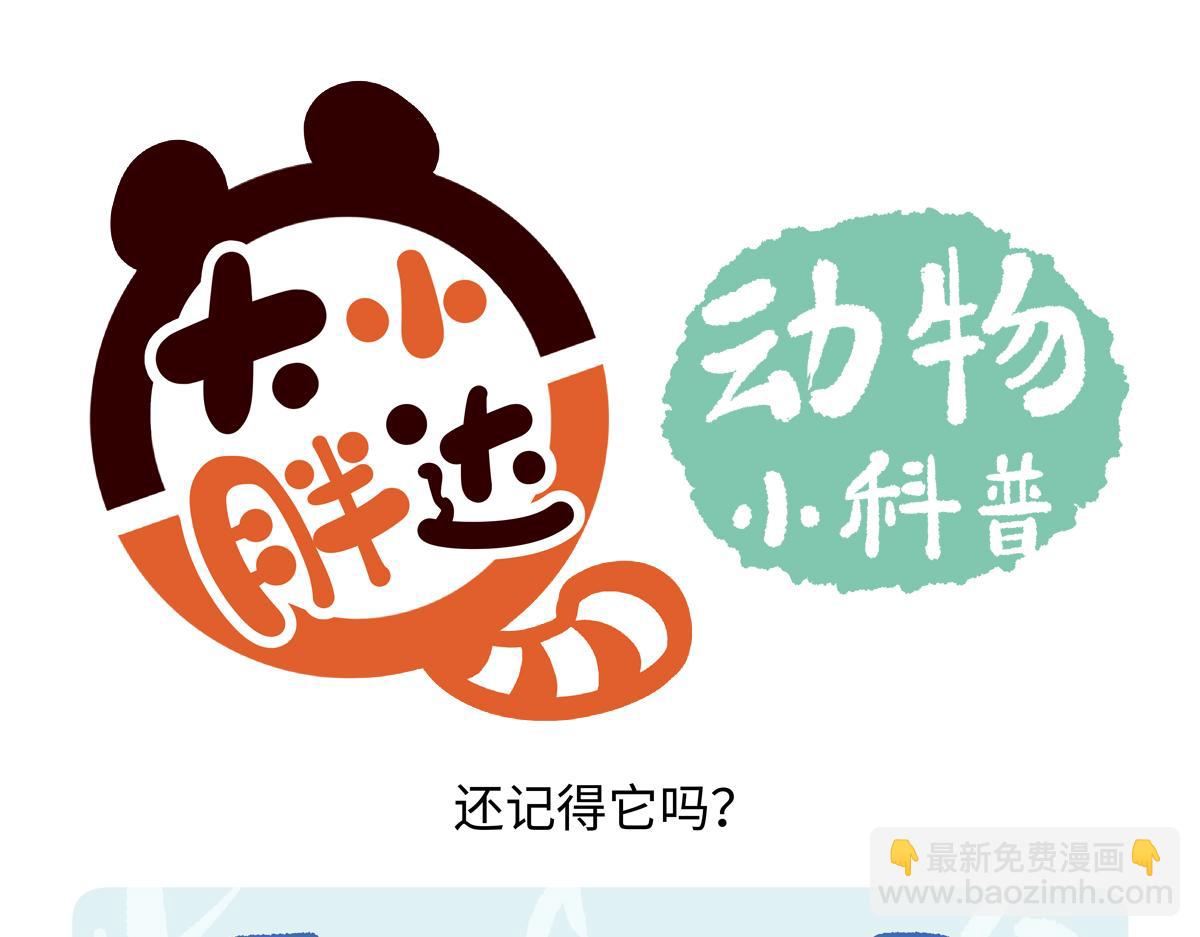 第202话-第203话