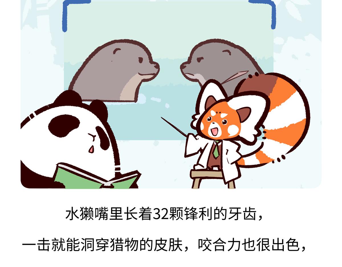 第202话-第203话