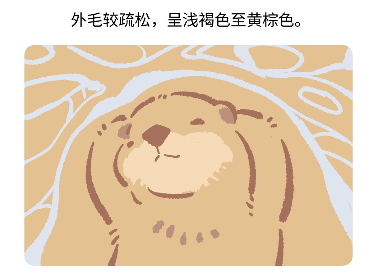 第204话-第205话